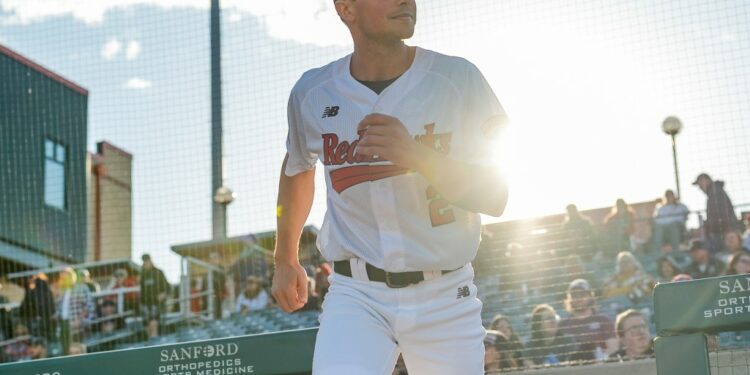 Pro baseball takes Maine native across North America