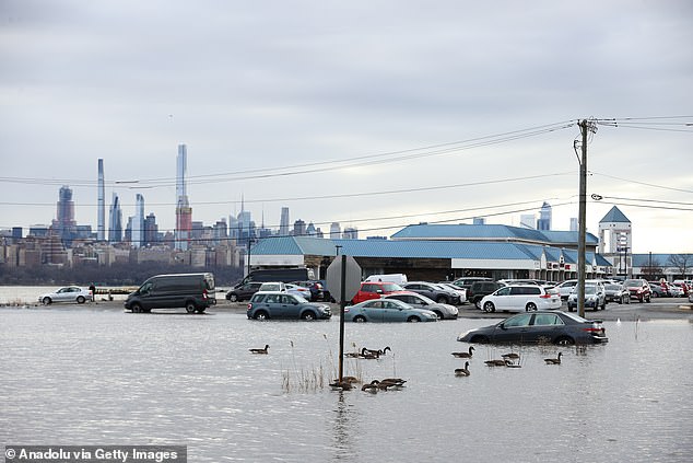 High water left cars stranded and residents unable to leave buildings in Edgewater, New Jersey, earlier this year. The Garden State is set to see worse flooding over the coming decades.