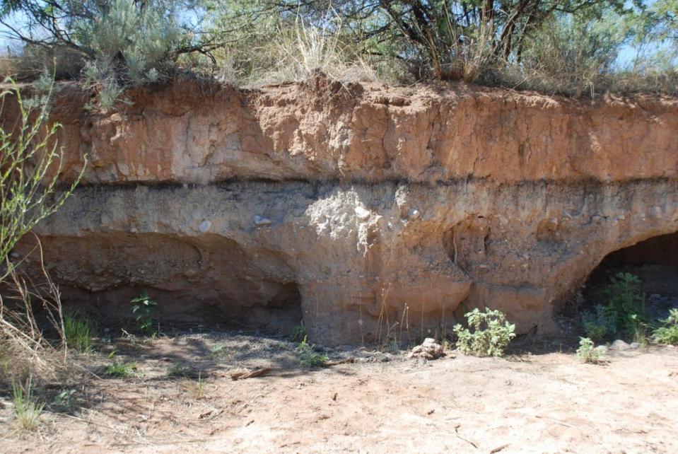 Archaeological site in Arizona, US, with a distinctive black layer indicating substantial environmental changes beginning about 10,800BC (Comet Research Group)