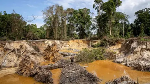 Getty Images A large illegal mining site discovered by French forces shows deforestation in French Guiana