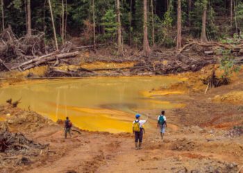 Mining gold in the greenstone belt of Panamazonia