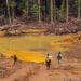 Mining gold in the greenstone belt of Panamazonia
