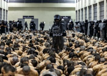 El Salvador Has Undercounted Homicides Under Bukele