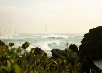 Revenue soars while profit takes a hit