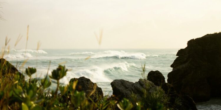 Revenue soars while profit takes a hit