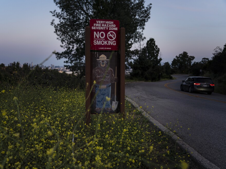 Wild mustard flowers bloom around a Smokey Bear sign in Griffith Park in Los Angeles, Thursday, June 8, 2023. 