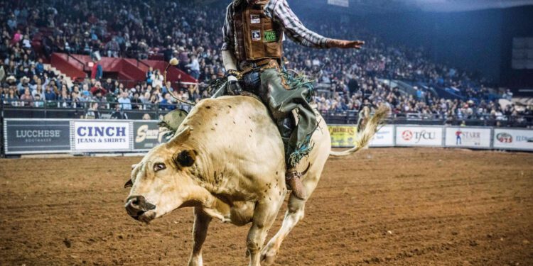 Texas Nationalists Want Separate Olympics Team, Make Bull Riding a Sport