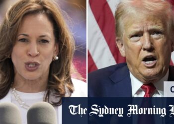 In a deepfake election, America is going to the trolls not the polls