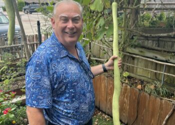 Kemah dining experience celebrates Indigenous food from the Americas – Houston Public Media