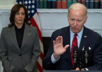Harris was tasked to deal with "root causes" of immigration in Central America, what happened?