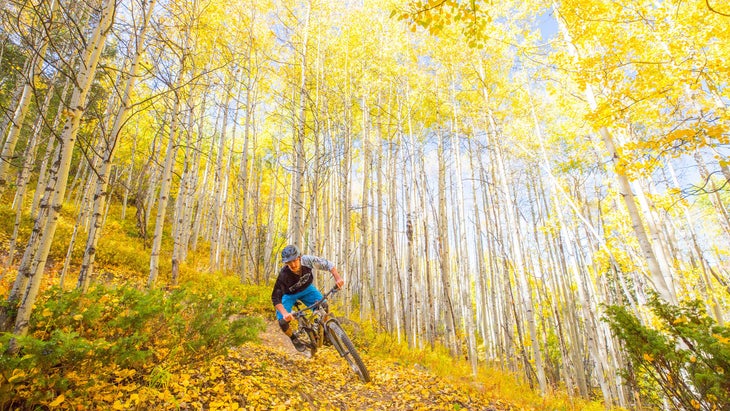 mountain biker in autumn foliage in Aspen, Colorado