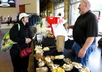 Tuscaloosa Farmers Market named best in Alabama for 2024