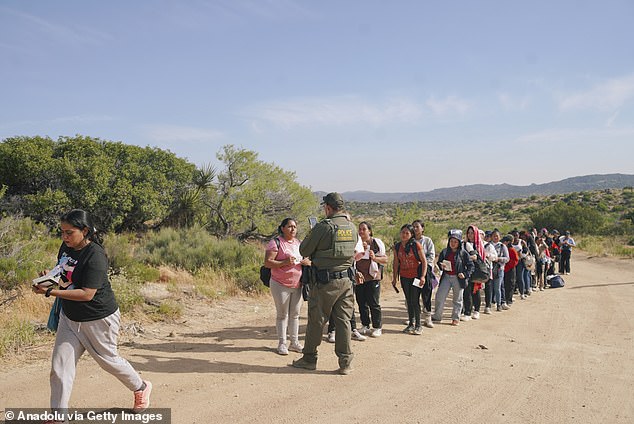 US Border Patrol police intervene with migrants crossing the border to Jacumba Hot Springs, California on June 10, 2024