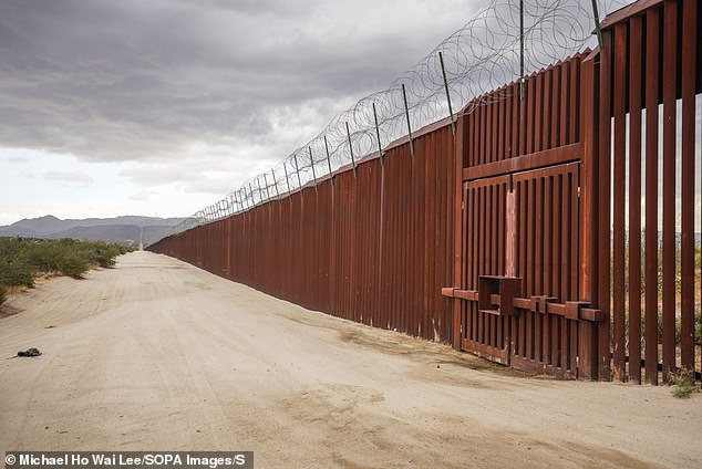 Trump inflated migrant crossing figures, falsely claiming 'millions of people [are] coming in a month', and made an erroneous claim that '22 murderers came from the Congo'. Pictured is the US-Mexico border wall on August 11