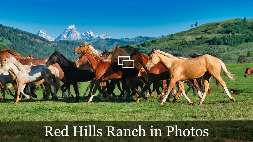 Red Hills Ranch slide cover