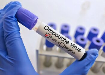 What You Need to Know About Oropouche Virus Disease