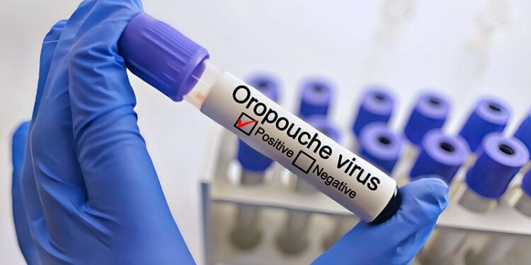 What You Need to Know About Oropouche Virus Disease