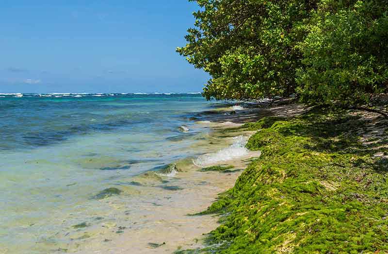 beaches between panama city and destin