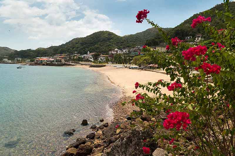 panama city panama beaches red flowers in the foreground