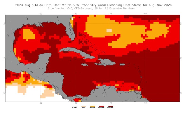 Hot ocean waters in the Caribbean and northward.