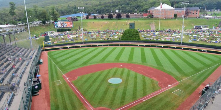 How to watch 2024 Little League World Series: Live stream, TV channel