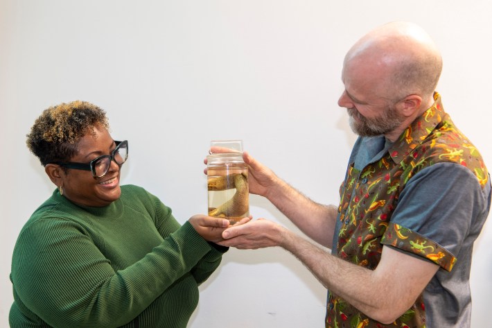 Institute of Jamaica Zoologist Elizabeth Morrison receives the Jamaican Giant Galliwasp specimen from Hunterian Curator of Zoology and Anatomy Mike G Rutherford