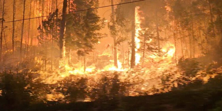 Gigantic fires in Canada, the Amazon and Greece have been amplified by global warming