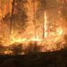 Gigantic fires in Canada, the Amazon and Greece have been amplified by global warming