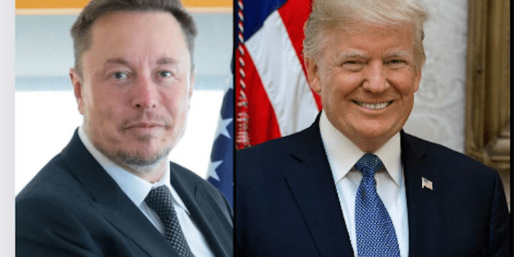 Donald Trump Paints America In Collapse In Elon Musk X Interview Plagued By Tech Glitches