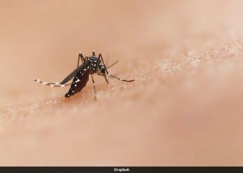 All About The Rare Disease