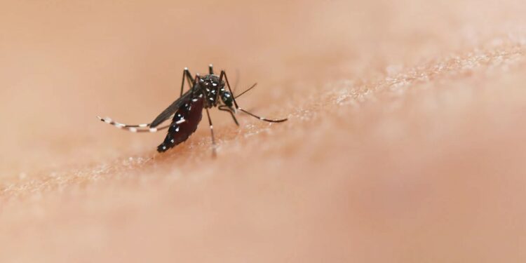 All About The Rare Disease