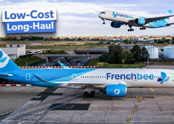 The History Of French bee