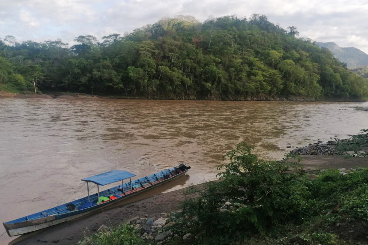 In the Beni River, there are boats that work closely with community ecotourism.