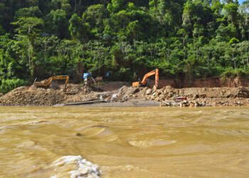 A national park and its rangers in Bolivia endure persisting road construction, illegal mining