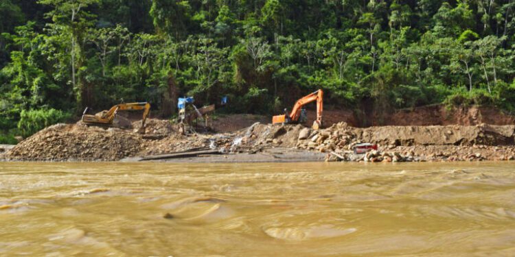 A national park and its rangers in Bolivia endure persisting road construction, illegal mining