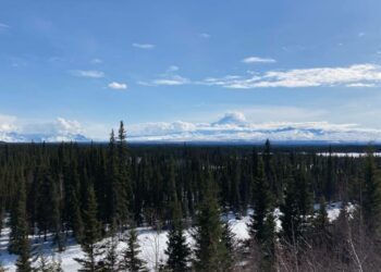 In America’s largest state House district, 6 people vie for a seat in the Alaska Legislature