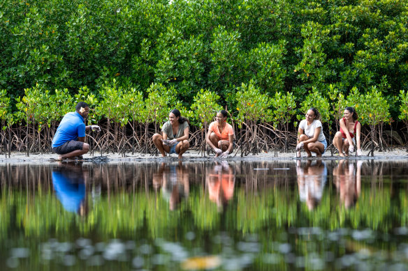 Guests take part in mangrove planting at Fiji Marriott Resort Momi Bay.