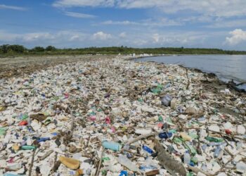Motagua River: The mission to clean up one of Central America’s most polluted rivers