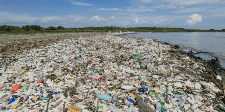 Motagua River: The mission to clean up one of Central America’s most polluted rivers