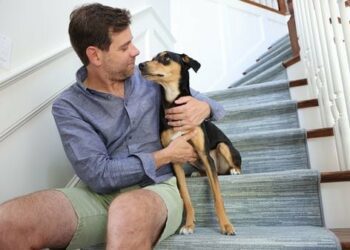 A Boston attorney rescued a puppy from St. Lucia. Now, he’s suing to challenge a ban on dogs entering the US.