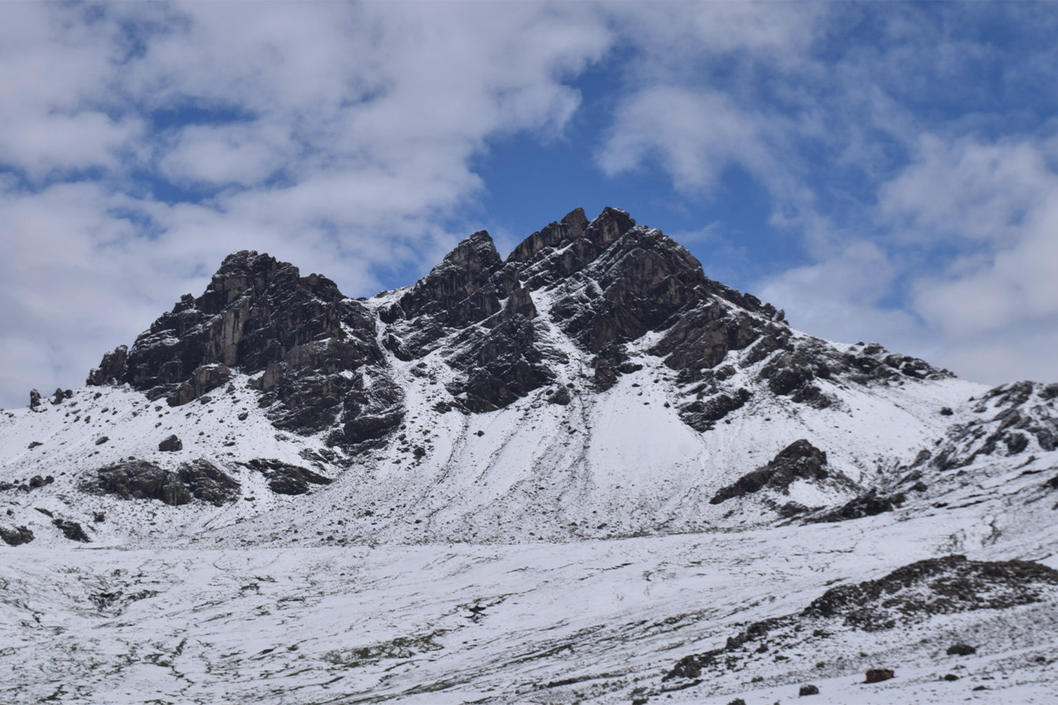 The mountain slopes surrounding the village of Ayacucho are both prime wildcat habitat and were once the principal pasture for villagers' alpacas. 