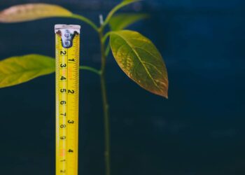 Measuring progress in adapting to a changing climate