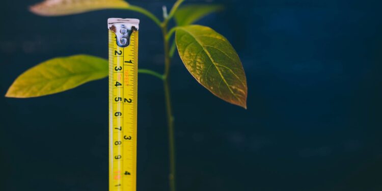 Measuring progress in adapting to a changing climate