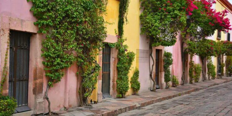 MND Where to Live in Mexico 2024 Guide: Bajío Trio
