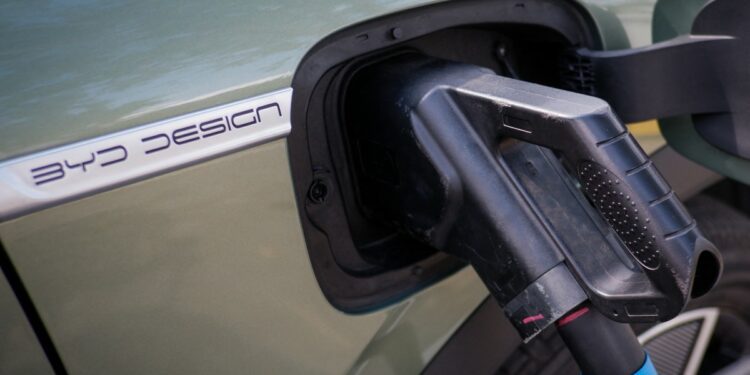 Chinese cars rise in popularity in Latin America, outperforming American, Brazilian models