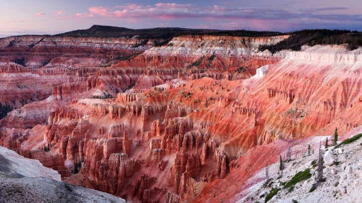 A wide view of one of the hoodoo-filled canyons at Utah’s Cedar Breaks National Monument. 