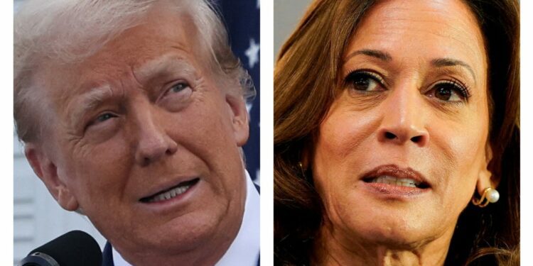 Follow Kamala Harris, Donald Trump