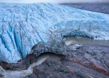 Fossils from Greenland's icy heart reveal it was a green tundra covered in flowers less than 1 million years ago