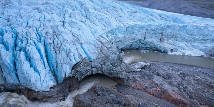 Fossils from Greenland's icy heart reveal it was a green tundra covered in flowers less than 1 million years ago