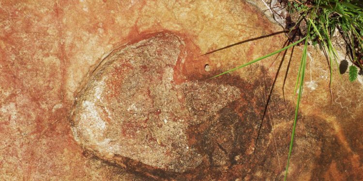 Dinosaur footprints from Africa and South America are a match